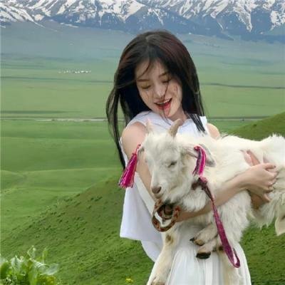 何不同舟渡